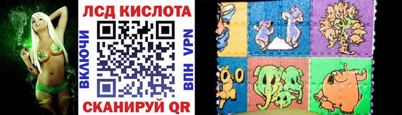 Наркотические марки 1,8мг  закладки  мега маркетплейс  Каргополь 