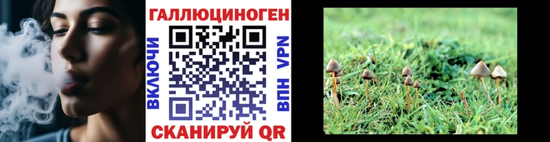 Галлюциногенные грибы Psilocybe  купить наркотики сайты  darknet телеграм  Каргополь 